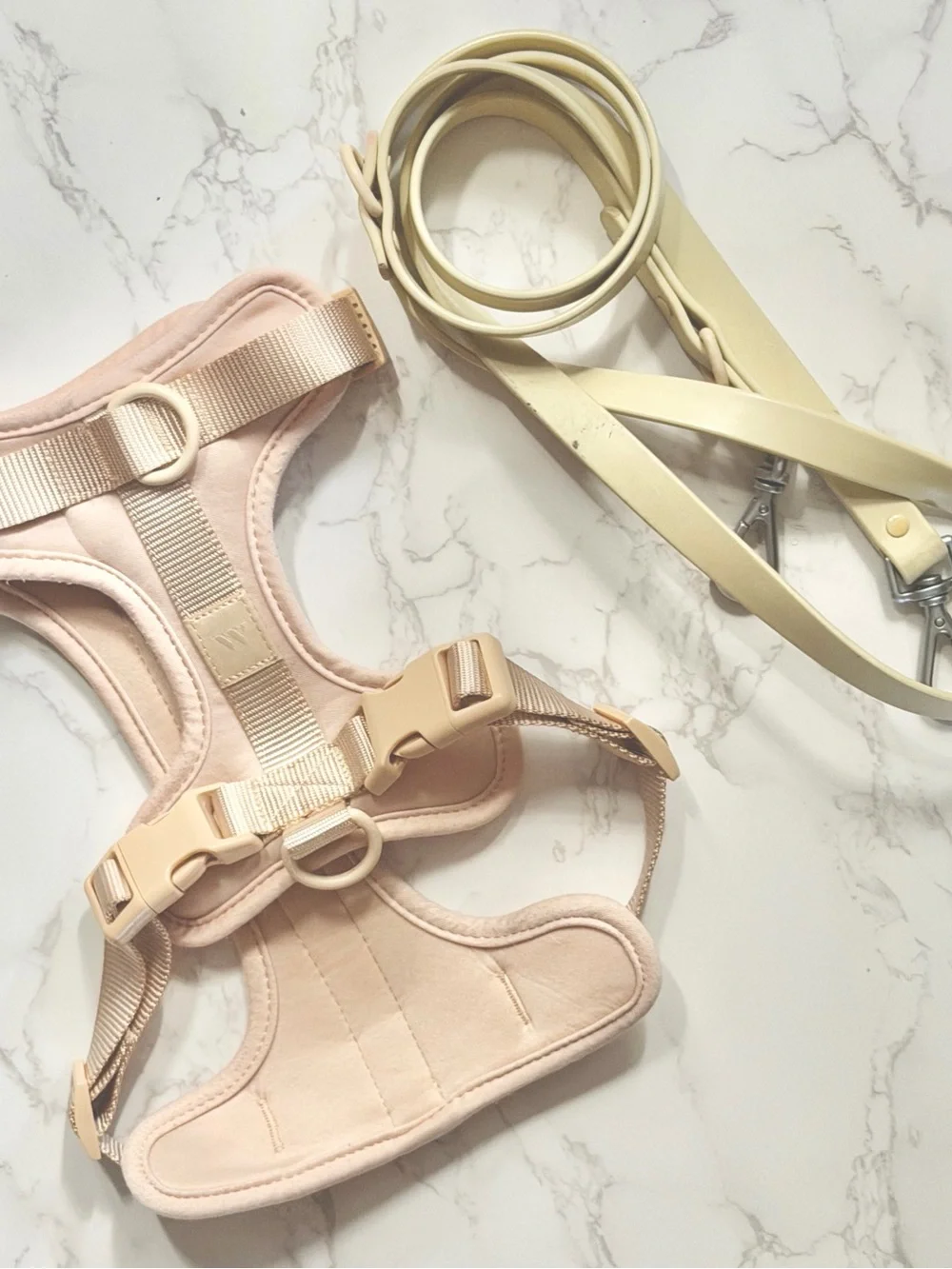 Wild One | Cushioned Harness + Lightweight Leash